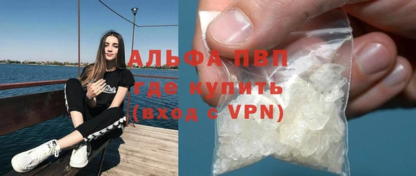 гидра Братск