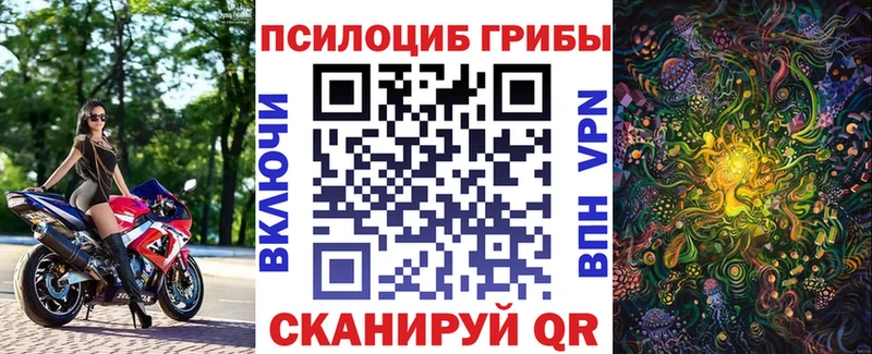 купить наркоту  Далматово  Галлюциногенные грибы GOLDEN TEACHER 